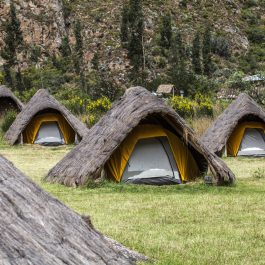 Covered Tents